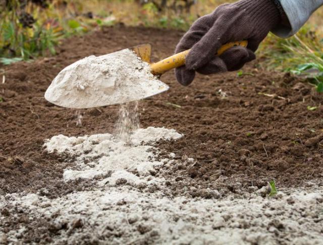 Análise de Solo e Calagem: Passo a Passo para Produtores Rurais Maximizarem Resultados