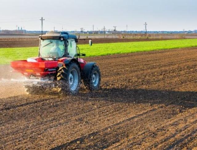 Calcário vs Gesso Agrícola: Entenda as Diferenças e Quando Usar Cada Um